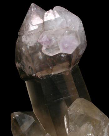 Quartz var. Smoky-Amethyst Scepter from Crystal Park, Beaverhead County, Montana