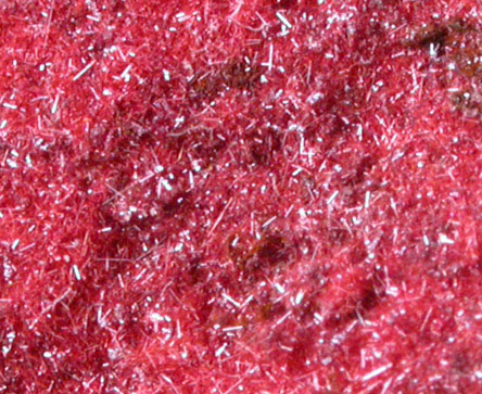 Cuprite var. Chalcotrichite from Ray Mine, Mineral Creek District, Pinal County, Arizona