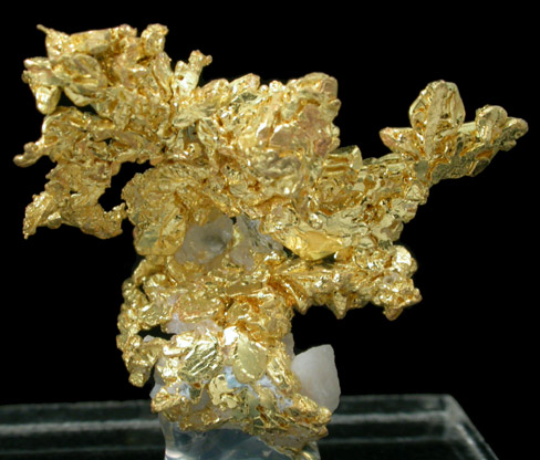 Gold (crystallized) Weight: 3.8 grams from Eagle's Nest Mine, Placer County, California