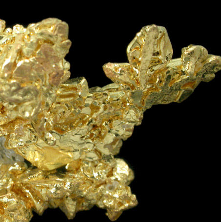 Gold (crystallized) Weight: 3.8 grams from Eagle's Nest Mine, Placer County, California