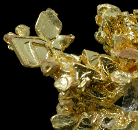 Gold (crystallized) Weight: 3.8 grams from Eagle's Nest Mine, Placer County, California