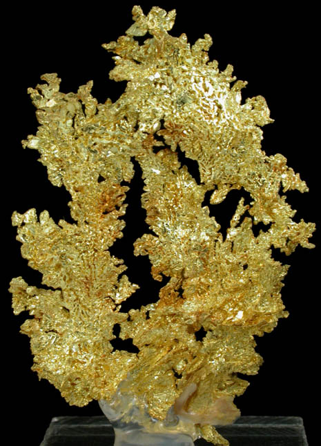 Gold from Eagle's Nest Mine, Michigan Bluff District, Placer County, California