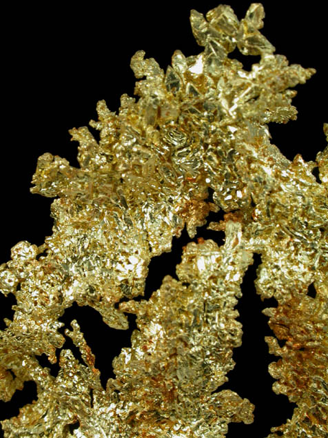 Gold from Eagle's Nest Mine, Michigan Bluff District, Placer County, California