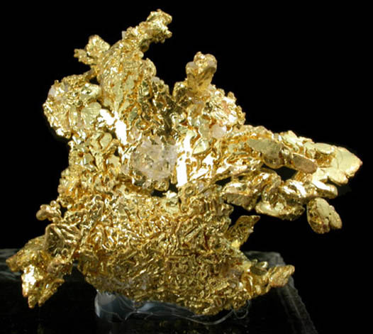 Gold from Eagle's Nest Mine, Michigan Bluff District, Placer County, California