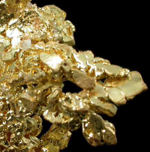 Gold from Eagle's Nest Mine, Michigan Bluff District, Placer County, California