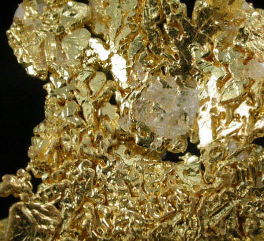 Gold from Eagle's Nest Mine, Michigan Bluff District, Placer County, California