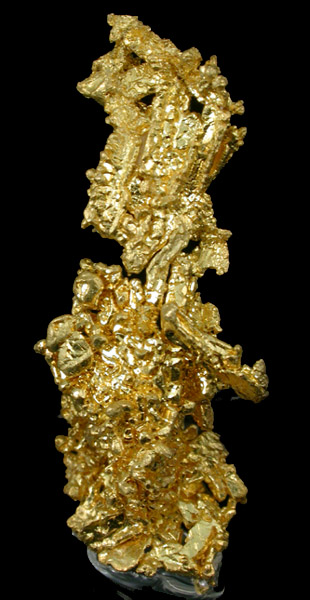 Gold (crystallized) Weight: 5.8 grams from Eagle's Nest Mine, Placer County, California