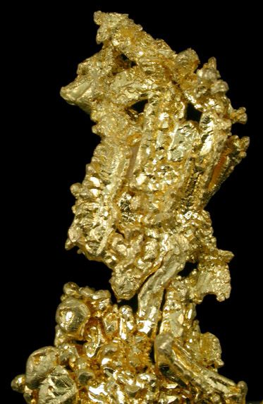 Gold (crystallized) Weight: 5.8 grams from Eagle's Nest Mine, Placer County, California