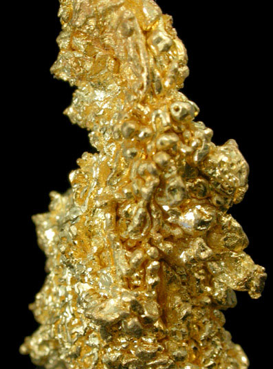 Gold (crystallized) Weight: 10.4 grams from Eagle's Nest Mine, Placer County, California