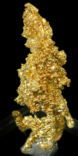 Gold (crystallized) Weight: 10.4 grams from Eagle's Nest Mine, Placer County, California