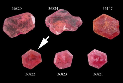 Pezzottaite from Sakavalana pegmatite, Ambatovita, near Mandosonoro village, Fianarantsoa Province, Madagascar (Type Locality for Pezzottaite)