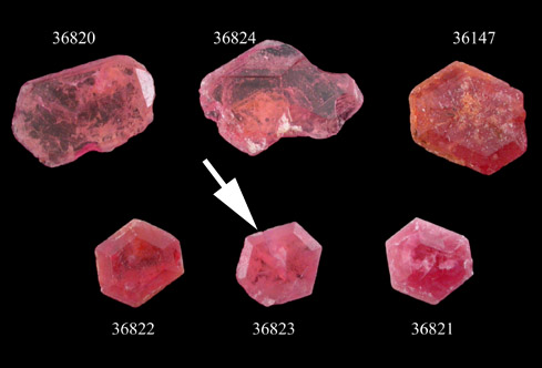 Pezzottaite from Sakavalana pegmatite, Ambatovita, near Mandosonoro village, Fianarantsoa Province, Madagascar (Type Locality for Pezzottaite)