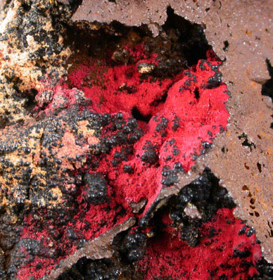 Cuprite (velvet) from Morenci Mine, Clifton District, Greenlee County, Arizona