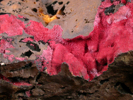 Cuprite (velvet) from Morenci Mine, Clifton District, Greenlee County, Arizona