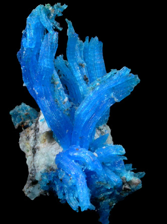 Chalcanthite from Planet Mine, La Paz County, Arizona