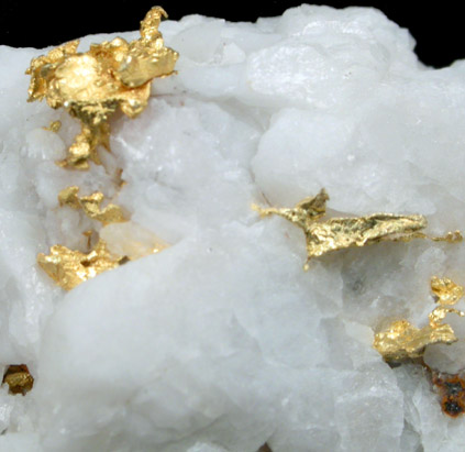 Gold in Quartz from Badger Mine, Mariposa County, California