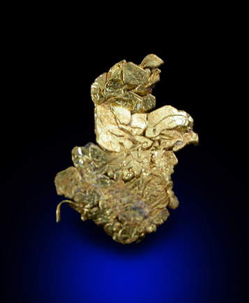 Gold (crystallized) from Gold Flake Vein, Breckenridge District, Summit County, Colorado