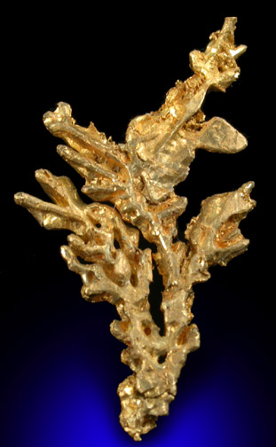 Gold from Breckenridge District, Summit County, Colorado