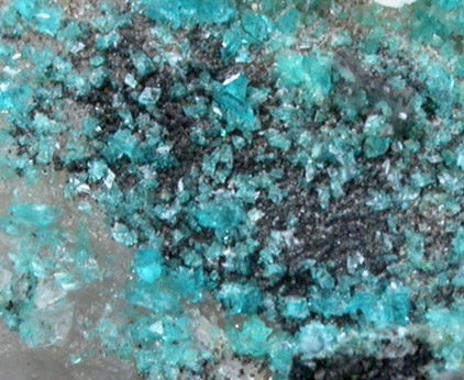 Turquoise crystals on Quartz from Bishop Mine, Lynch Station, Campbell County, Virginia