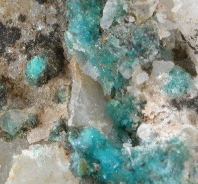 Turquoise crystals on Quartz with Goethite from Bishop Mine, Lynch Station, Campbell County, Virginia