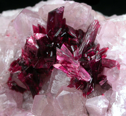 Erythrite on cobalt-rich calcite from Bou Azzer District, Anti-Atlas Mountains, Tazenakht, Ouarzazate, Morocco (Type Locality for Erythrite)