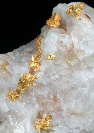 Gold in Quartz from Badger Mine, Mariposa County, California