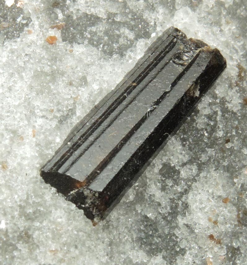 Dravite-Uvite Tourmaline in Inwood Marble from Harlem Ship Canal excavation, norther Manhattan Island, New York City, New York County, New York