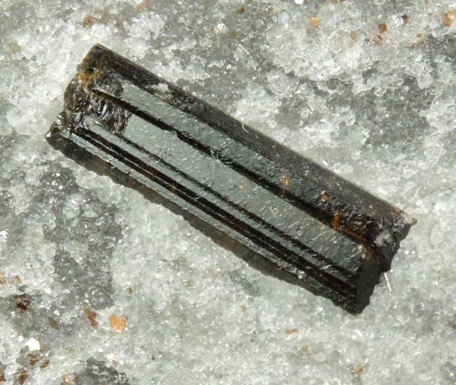 Dravite-Uvite Tourmaline in Inwood Marble from Harlem Ship Canal excavation, norther Manhattan Island, New York City, New York County, New York