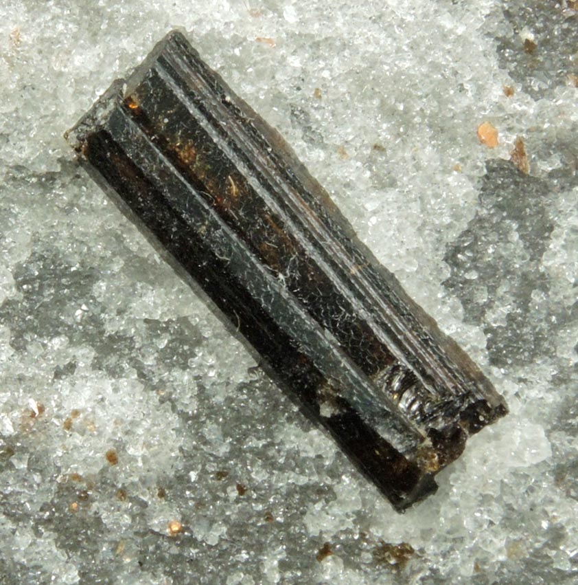 Dravite-Uvite Tourmaline in Inwood Marble from Harlem Ship Canal excavation, norther Manhattan Island, New York City, New York County, New York