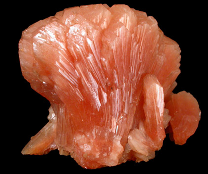 Stilbite-Ca from Aurangabad, Maharashtra, India