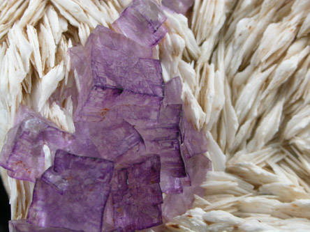 Fluorite on Barite from Caldwell Stone Quarry, Danville, Boyle County, Kentucky