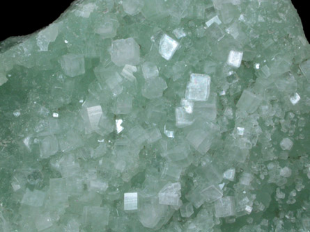 Hydroxyapophyllite-(K) (formerly apophyllite-(KOH)) on Prehnite from Fairfax Quarry, 6.4 km west of Centreville, Fairfax County, Virginia