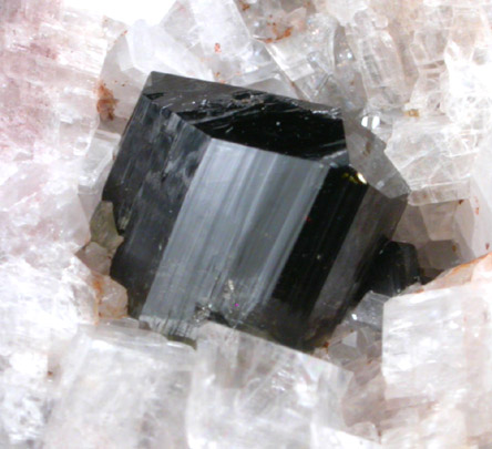 Uvite Tourmaline on Magnesite from Pedra Prita, Brumado District, Bahia, Brazil