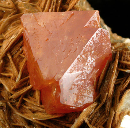 Scheelite on Muscovite from Xuebaoding Mountain near Pingwu, Sichuan Province, China