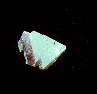 Scheelite on Muscovite from Xuebaoding Mountain near Pingwu, Sichuan Province, China