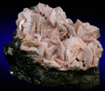 Rhodochrosite from Eagle Mine, Gilman District, Eagle County, Colorado