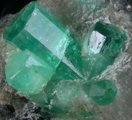 Beryl var. Emerald from Muzo Mine, Vasquez-Yacopi District, Colombia