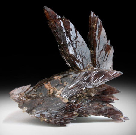 Axinite-(Fe) from Borosilikatnoye deposit, Dalnegorsk, Primorskiy Kray, Russia