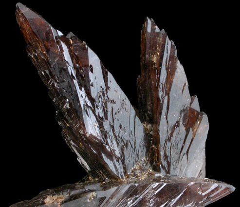 Axinite-(Fe) from Borosilikatnoye deposit, Dalnegorsk, Primorskiy Kray, Russia