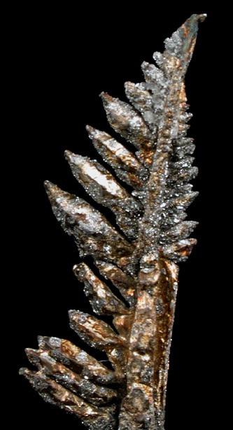 Silver with Acanthite from Andres del Rio District, Batopilas, Chihuahua, Mexico