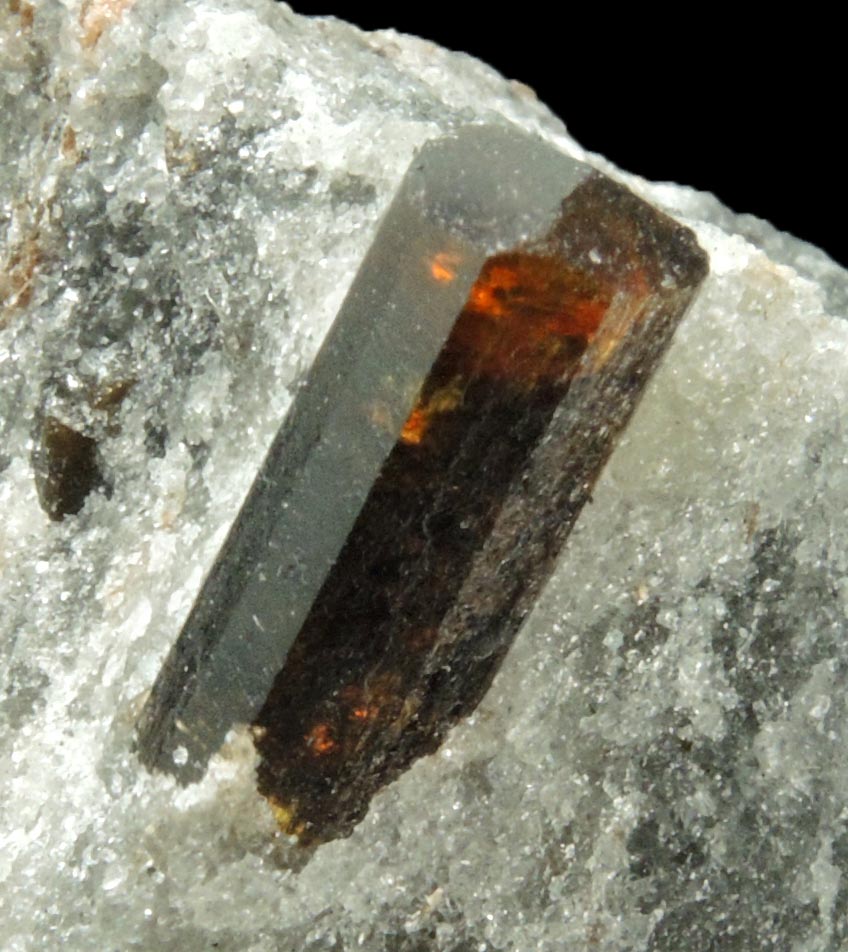 Dravite-Uvite Tourmaline in Inwood Marble (best of find) from Harlem Ship Canal excavation, norther Manhattan Island, New York City, New York County, New York