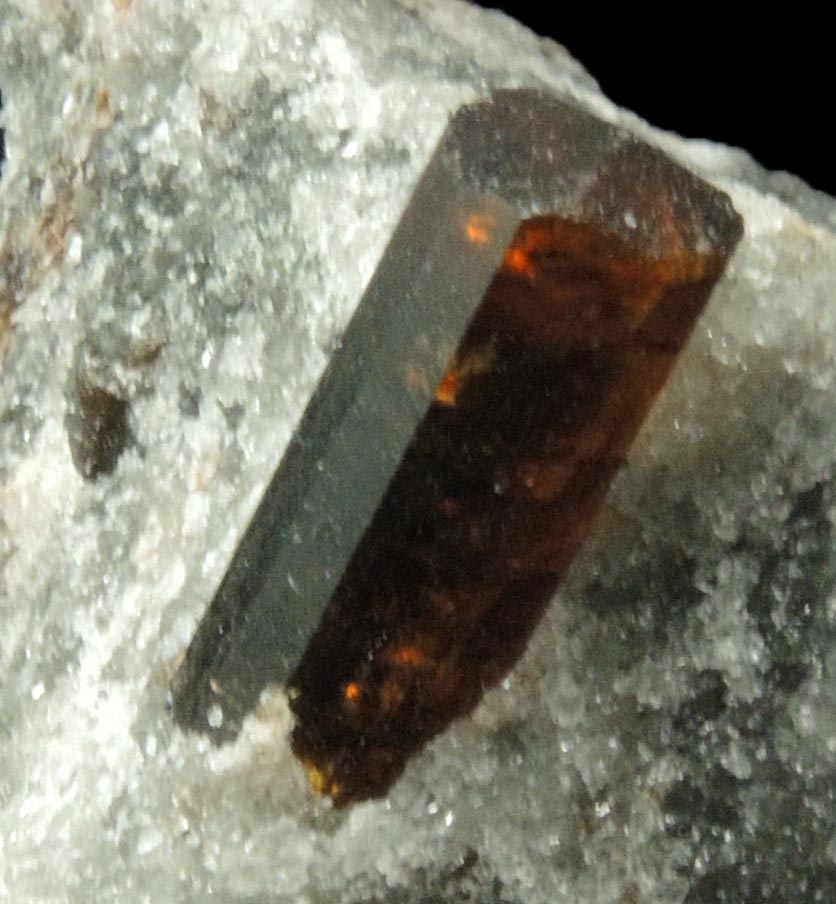 Dravite-Uvite Tourmaline in Inwood Marble (best of find) from Harlem Ship Canal excavation, norther Manhattan Island, New York City, New York County, New York
