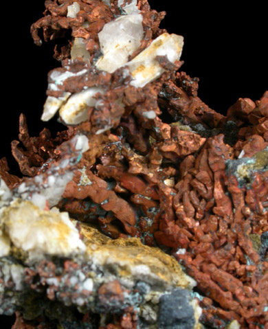 Copper (crystallized) from Creegbrawse Mine, Gwennap, Cornwall, England