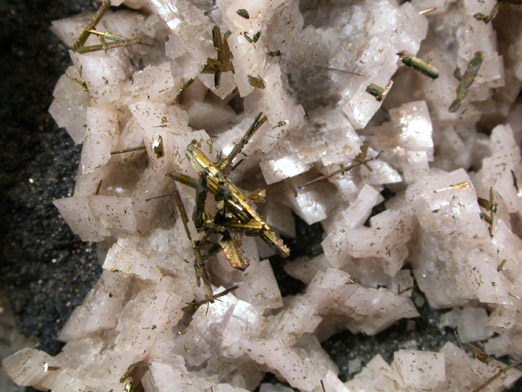 Quartz var. Herkimer Diamond with Marcasite and Dolomite from Eastern Rock Products Quarry (Benchmark Quarry), St. Johnsville, Montgomery County, New York