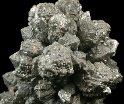 Pyrite from Selma Chalk Farm, Starkville, Oktibbeha County, Mississippi