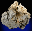 Alunogen from Erie, Erie County, Pennsylvania