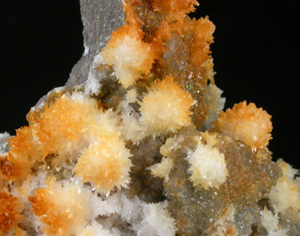 Strontianite and Calcite from Faylor-Middle Creek Quarry, 3 km WSW of Winfield, Union County, Pennsylvania