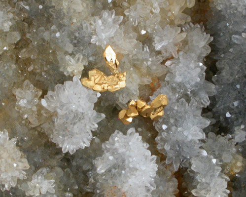Gold on Quartz from Rosia Montana (Vrspatak), Metaliferi Mountains, Transylvania, Romania