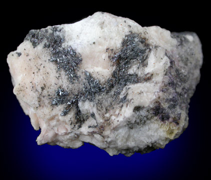 Freieslebenite with Pyrargyrite from Himmelfurst Mine, Freiberg, Sachsen (Saxony), Germany (Type Locality for Freieslebenite)