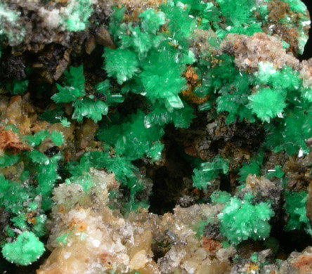 Annabergite var. Cabrerite from Lavrion (Laurium) Mining District, Kilometer 3, Attica Peninsula, Greece